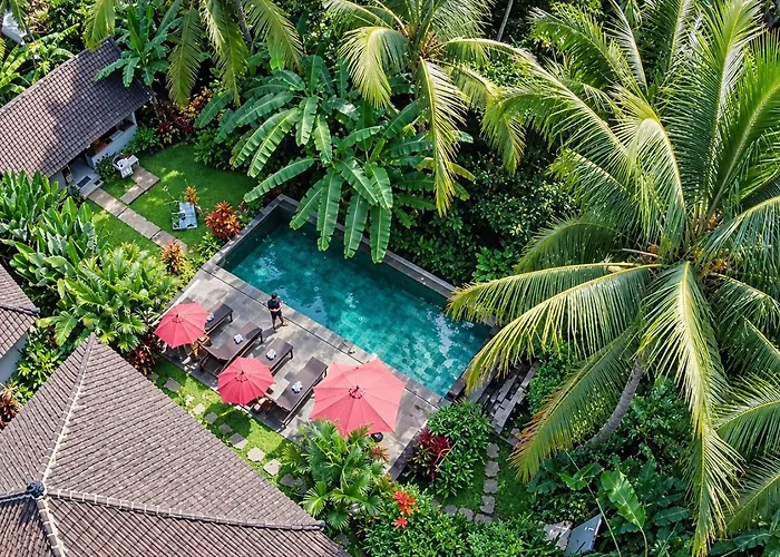 Amaya Ricefield & Jungle Cottages By Best Living Villa