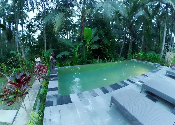 Amaya Ricefield & Jungle Cottages By Best Living Villa