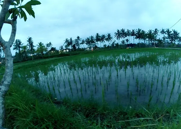 Amaya Ricefield & Jungle Cottages By Best Living Villa