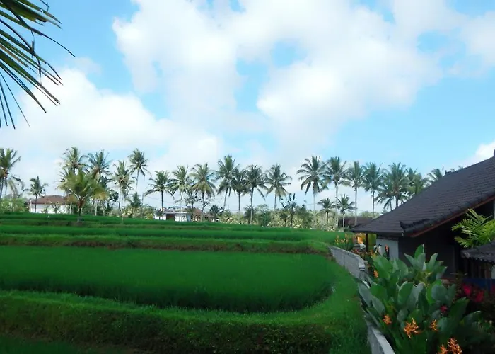Amaya Ricefield & Jungle Cottages By Best Living Villa Ubud