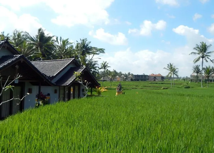 Amaya Ricefield & Jungle Cottages By Best Living Villa *