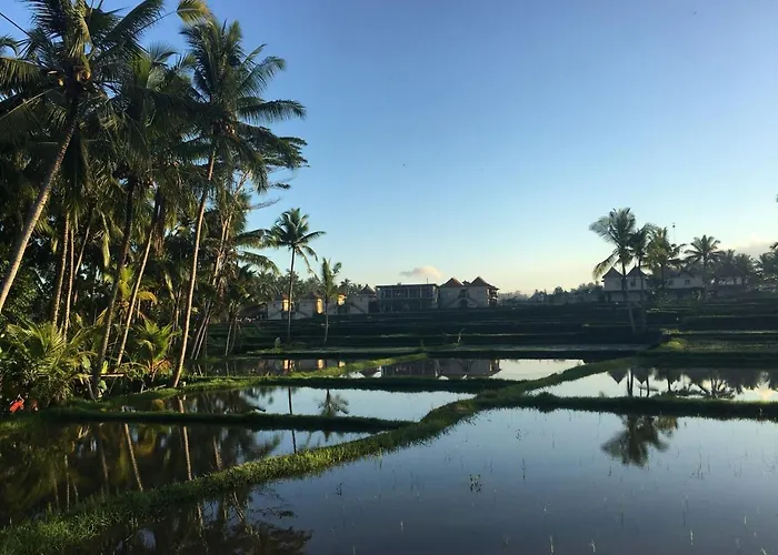 Amaya Ricefield & Jungle Cottages By Best Living *