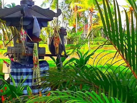 Amaya Ricefield & Jungle Cottages By Best Living