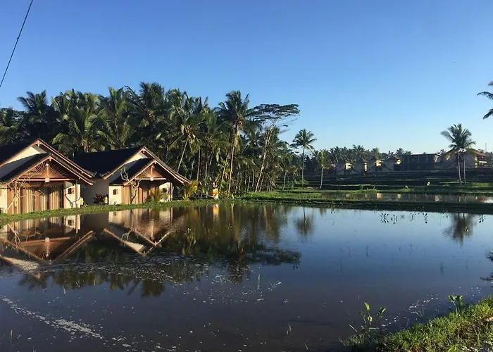 Villa Amaya Ricefield & Jungle Cottages By Best Living Ubud