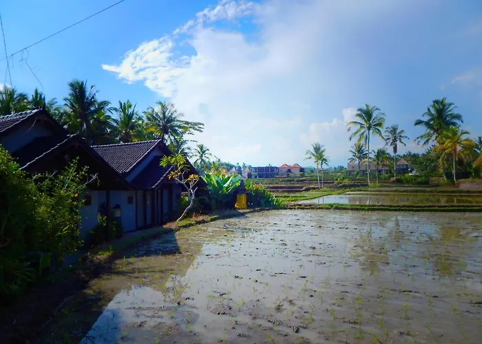 Amaya Ricefield & Jungle Cottages By Best Living Villa Ubud